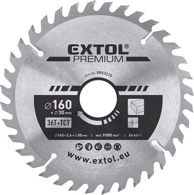 Image de kotouč pilový s SK plátky, O 160x2,6x30mm, 36T