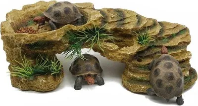 Produktbild von Famanu Terrarium Schildkrötenplattform 3-in-1 - Naturgetreue Versteckmöglichkeit