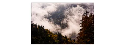 Produktbild von Muralo Fototapete Wald im Nebel 90 (B) x 60 (H) cm Vlies Tapete Wandtapeten Gebirge Bäume Herbst Wohnzimmer Schlafzimmer moderne Wandbilder XXL Landschaft Panorama Wand Dekoration