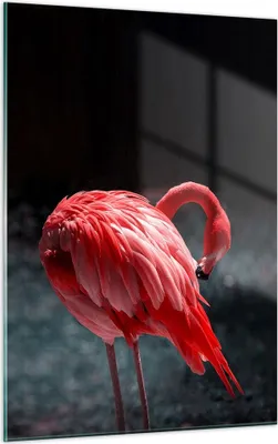 Produktbild von Bilder auf glas - Einteilig - Flamingo Rosa Vogel - 50x70cm - Glasbilder - Wandbilder - Bilder - zum Aufhängen bereit - Wanddekoration aus Glas - Glas Bilder - Wandbild auf Glas - GPA50x70-4551