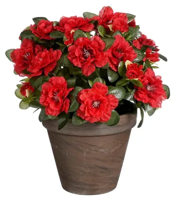 Produktbild von Mica Decorations Azalee Kunstpflanze im Blumentopf Stan - H31 x Ø26 cm - Rot