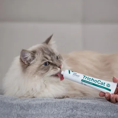 Productafbeelding van VetExpert TrichoCat Pasta tegen haarballen voor katten, 50g