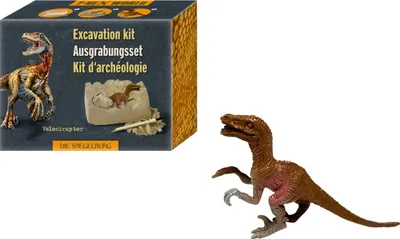Produktbild von HILLSTEIN Mini Ausgrabungsset Dino T-Rex World 0