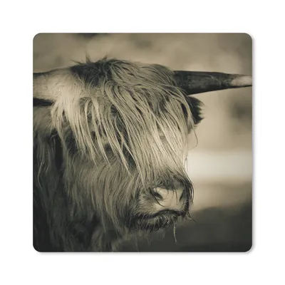 Produktbild von MuchoWow® Mauspad Mousepad Schottischer Highlander - Tiere - Haare 30x30 cm - Mousepads - Maus Mat - Pad - Mausunterlage - Gaming