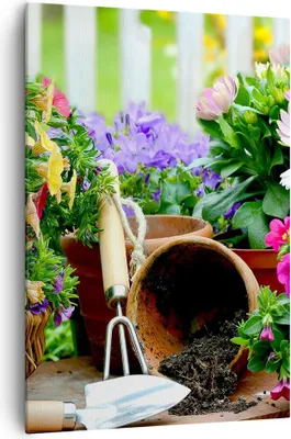 Produktbild von Bild auf Leinwand - Leinwandbild - Einteilig - Pflanzen Garten Frühling Natur - 70x100cm - Wand Bild - Wandbilder - Leinwanddruck - Wanddekoration - Leinwand bilder - Wandbild - PA70x100-2682