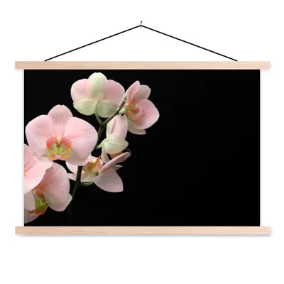 Produktbild von MuchoWow® Textilposter Orchidee - Blumen - Rosa - Stilleben - Flora 60x40 cm mit holzfarbenen Rahmen - Bilder