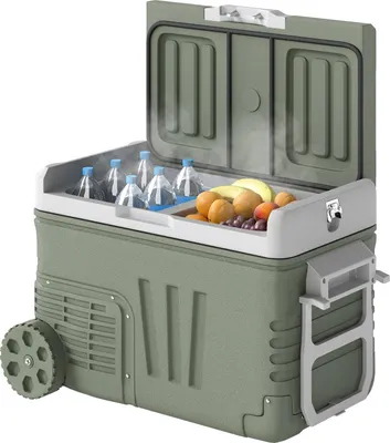 Immagine prodotto di Frigo portatile a compressore da 33 litri frigo portatile elettrico con funzione di raffreddamento a rulli LED box congelatore silenzioso termobox mini frigorifero 12/230 volt per presa auto camion campeggio barca verde |