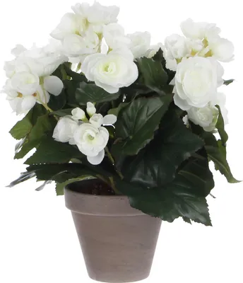 Obrázok produktu pre Mica Decorations Begónia umelá rastlina v kvetináči Stan - H30 x Ø25 cm - biela