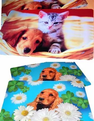 Produktbild von Hilpert 28144 - Hilpert Platzdeckchen Tiere