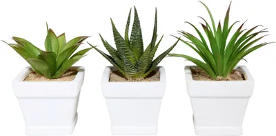 Produktbild von 1x Kunstpflanze Agavenmix Deko, Blume