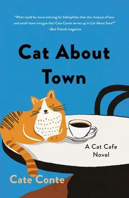 Produktbild von Katze in der Stadt