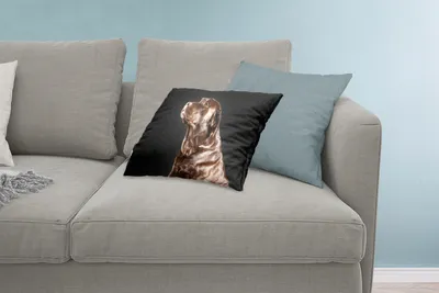 Produktbild von MuchoWow® Zierkissen Sofakissen Wohnzimmer Dekokissen 60x40 cm Hund - Braun - Porträt - Kopfkissen - Polster mit Foto