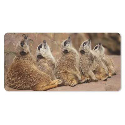 Produktbild von MuchoWow® Schreibtischunterlage Erdmännchen - Felsen - Natur 80x40 cm - XXL Mauspad - Gaming Mauspad