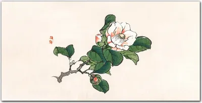 Produktbild von Coloray - Bild aus Glas - Glasbilder - 100 x 50 cm - Küche Wanddekoration Dekoration Wohnzimmer Gehärtetes Glas Glasblock mit Bild - Asiatische Blumen