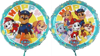 Image de 1 ballon rond Paw Patrol, 46 cm / 18 inch