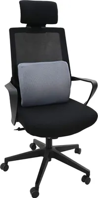 Immagine prodotto di Cuscino per la schiena vidaXL grigio in schiuma viscoelastica 36 x 30 x 12 cm