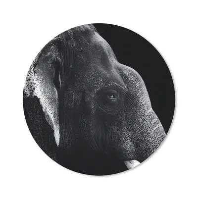 Produktbild von MuchoWow® Mauspad Mousepad Tierprofil Elefant in Schwarz und Weiß 40x40 cm - Mousepads - Maus Mat - Pad - Mausunterlage - Schreibtisch Accessoires