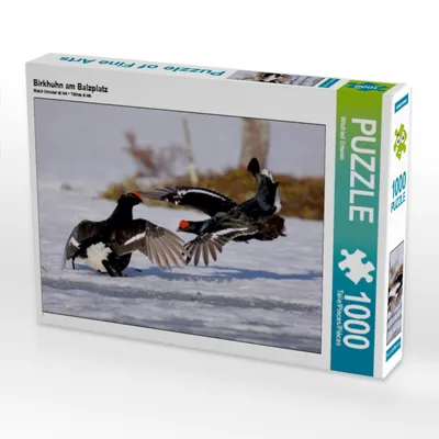 Produktbild von Calvendo Birkhuhn am Balzplatz 1000 Teile Puzzle quer 640x480mm, Erlwein Winfried; 7366966