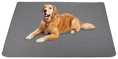 Produktbild von Wiederverwendbare Hundetrainingsunterlagen - 120x150 cm - Waschbar