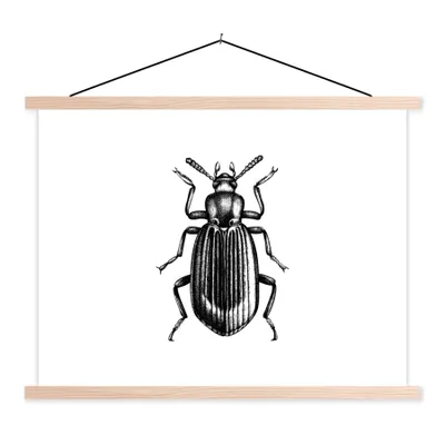 Produktbild von MuchoWow® Textilposter Käfer - Tiere - Vintage 120x90 cm mit holzfarbenen Rahmen - Magnetisch