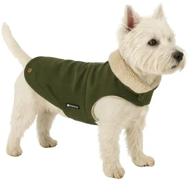 Productafbeelding van Flamingo hondenkleding, model Endor, kleur khaki, ruglengte: 25 cm