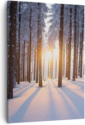 Produktbild von Bild auf Leinwand - Leinwandbild - Einteilig - Wald Winter Schnee - 50x70cm - Wand Bild - Wanddeko - Wandbilder - Leinwanddruck - Wanddekoration - Leinwand bilder - Wandbild - PA50x70-3629