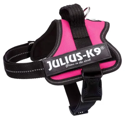 Productafbeelding van Julius-K9 Powerharnas, kleur: fuchsia, maat: Mini/M