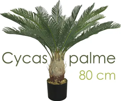 Immagine prodotto di Palmier Palma cycas Plante Artificielle Artificiel 80 cm Decovego