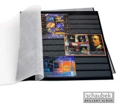 Produktbild von Schaubek EB103-10 Einsteckblatt DONAU, schwarz - ohne Mittelstreifen 10 Blatt