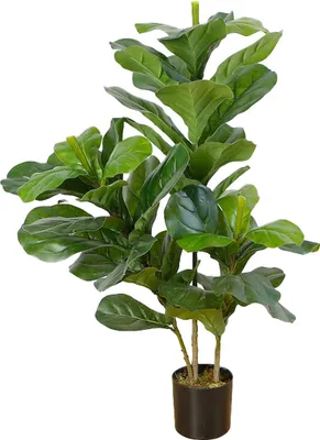 Imagen del producto de Lykke, planta artificial, hoja de higuera con forma de violín, 85 cm