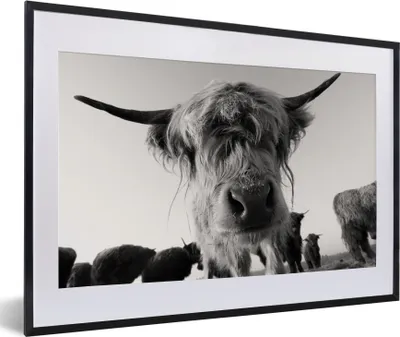 Produktbild von MuchoWow® Gerahmtes Poster Schottischer Highlander - Schwarz - Weiß - Tiere 60x40 cm - Poster mit Schwarzem Bilderrahmen Wandposter Rahmen Foto Bilder - Schlafzimmer - Plakat in Rahmen - Drucken