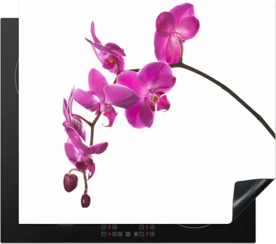 Produktbild von KitchenYeah© Herdabdeckplatte Orchidee vor weißem Hintergrund , 57x51cm, Küche Deko, Glaskeramikkochfeld Herdabdeckung, Abdeckplatte fùr Kochfeld