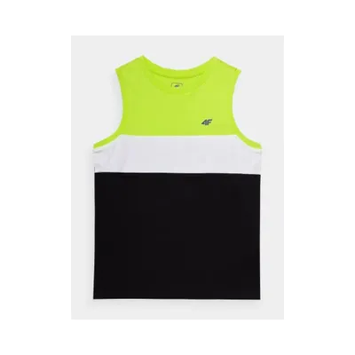 Immagine prodotto di Maglietta 4F, modello 4FJWSS24TSLEM03872N, taglia: 134