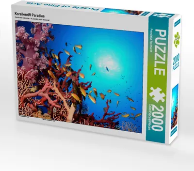 Produktbild von CALVENDO Puzzle Korallenriff Paradies 2000 Teile Puzzle hoch | 2000 Teile Lege-Größe 90x67cm Foto-Puzzle für glückliche Stunden