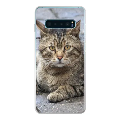 Produktbild von MuchoWow® Handyhülle Schutzhülle Hülle für Samsung Galaxy S10 Plus Katze - Tier - Braun - Mädchen - Kinder - Jungen - Kind Silikon Softcase Handy Hülle - Schutzhülle