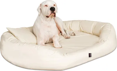 Produktbild von tierlando® Orthopädisches Hundebett SAMMY | Robuster Polyester | Dicke Umrandung - Größe: 140x105cm | Farbe: 05 Creme