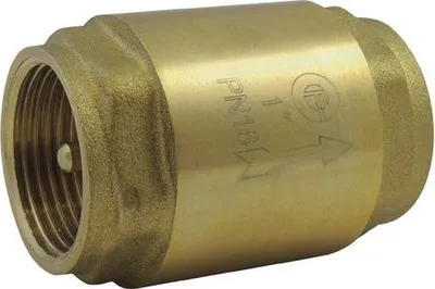Image de Clapet Anti Retour Laiton 1''1/4 Prévention Efficace Du Reflux D'eau - Générique