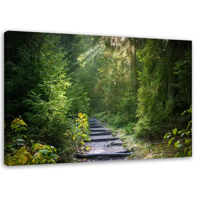 Produktbild von Leinwandbild pfad in einem grünen wald 60x40 cm Feeby grün wandbild bereit zum aufhängen