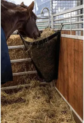 A horse eating hay from a black mesh hay bag in a stable.