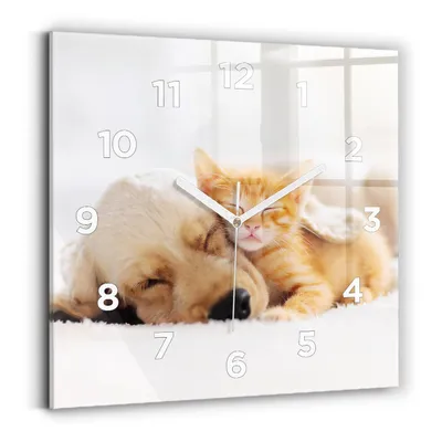 Produktbild von Wallfluent Wanduhr – Stilles Quarzuhrwerk - Uhr Dekoration Wohnzimmer Schlafzimmer Küche - Zifferblatt - weiße Zeiger - 30x30 cm - Schlafende Katze und Hund