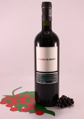 Produktbild von Palistorti - 2022 - Tenuta di Valgiano