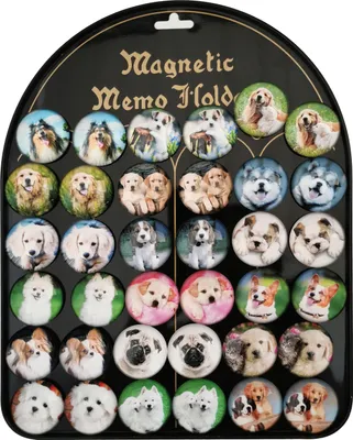 Zdjęcie produktu dla Magnesy psy 36 szt. MG-0105