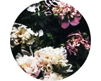 Produktbild von Glasbild Baroque Peonies Ø 50 cm