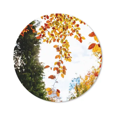 Produktbild von MuchoWow® Mauspad Mousepad Herbst - Laub - Natur 20x20 cm - Mousepads - Maus Mat - Pad - Mausunterlage - Schreibtischmatte