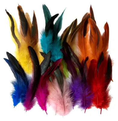 Produktbild von 100 Stück bunte Federn zum Basteln, Federdekoration für DIY-Ohrringe, Hochzeiten, Traumfänger, Kopfschmuck und Schulhandwerk
