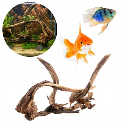 Immagine prodotto di Legno acquario Desert, set 3-5 pezzi, decorazione naturale per acquario dolce, radici per piante e muschio