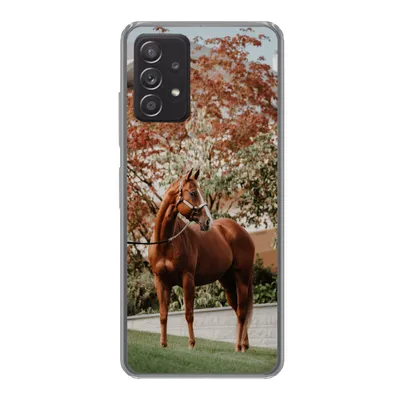 Produktbild von MuchoWow® Handyhülle Schutzhülle Hülle für Samsung galaxy a73 Pferd - Baum - Halfter Silikon Softcase Handy Hülle - Handyhülle