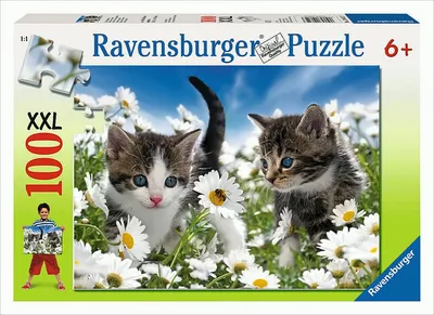 Produktbild von Süße Kätzchen