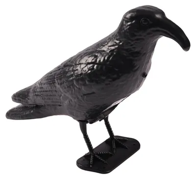 Produktbild von Taubenschreck Rabe mit Sensor Krähe Vogelabwehr Taubenabwehr Vogelscheuche Vogel