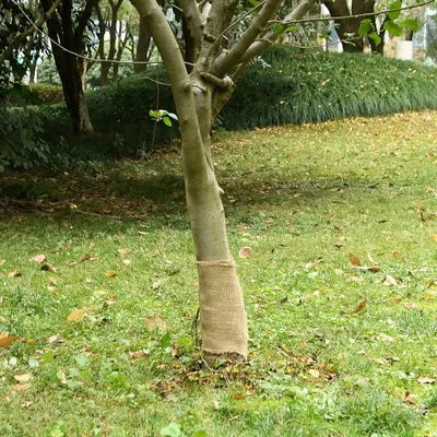 Produktbild von "im Angebot" Jutegewebe 0,25x25 m 100% Jute 200 g/m² - Teppichläufer CC1211
